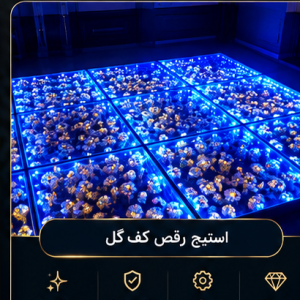 استیج رقص کف LED گل